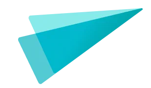 Practifly Favicon