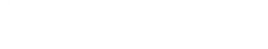 ZSegment logo
